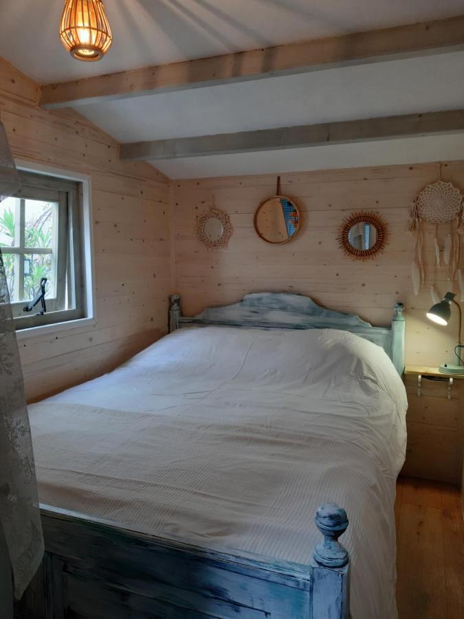 B&B Little Beach House Zandvoort Dış mekan fotoğraf
